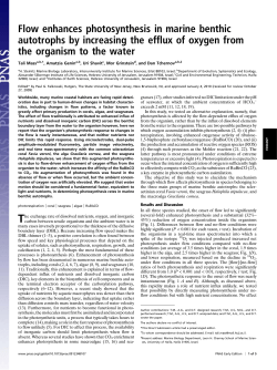 Flow enhances photosynthesis in marine benthic autotrophs by