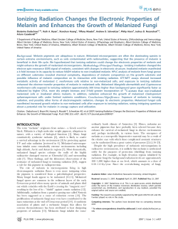Ionizing Radiation Changes the Electronic Properties of Melanin