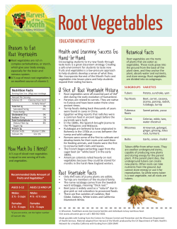 How Much Do I Need? Reasons to Eat Root
