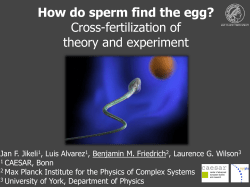 How do sperm find the egg? Cross-fertilization of theory and