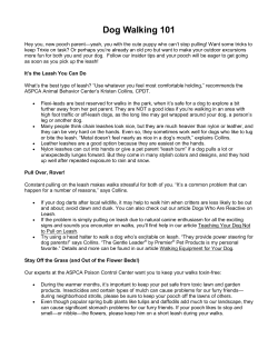 Dog Walking 101 - woodcountyhumanesociety.org