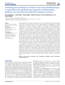 Unlocking thepotential of tropical root crop biotechnology in east