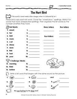 The Hurt Bird