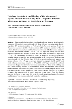 Hatchery broodstock conditioning of the blue mussel Mytilus edulis