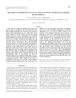 METABOLIC IMPORTANCE OF Na+/K+