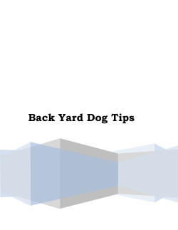 Back Yard Dog Tips - Chain Free Asheville