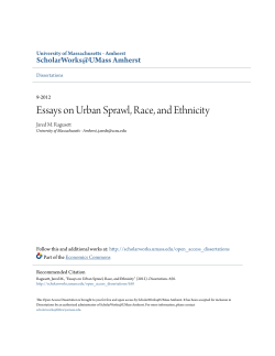 Essays on Urban Sprawl, Race, and Ethnicity