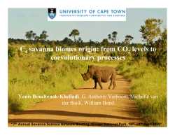 C savanna biomes origin: from CO levels to