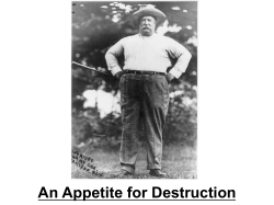 11.2 William Howard Taft