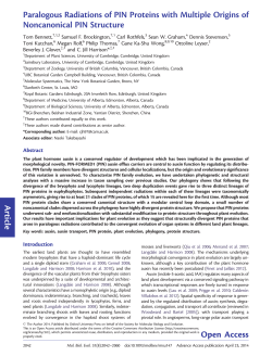 Article Paralogous Radiations of PIN Proteins