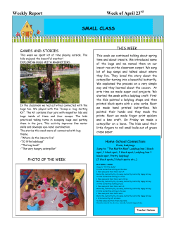 Sample Weekly Report