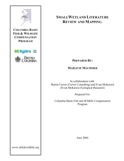 Small Wetland Literature Review and Mapping