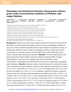 Phenotypic and biochemical diversity among peach cultivars