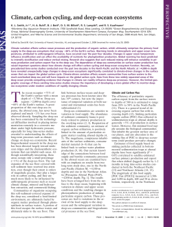 Climate, carbon cycling, and deep-ocean ecosystems