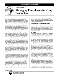 Managing Phosphorus for Crop Production