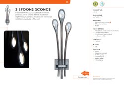 Specifications PDF for 3 Spoons