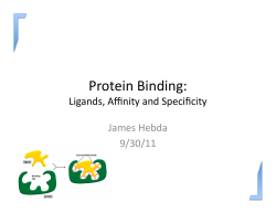 Protein Binding: