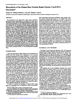 Biosynthesis of the Human Base Excision Repair Enzyme Uracil