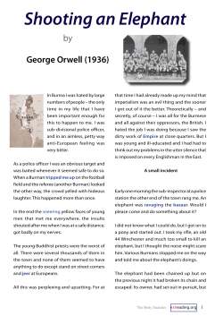 Shooting an Elephant