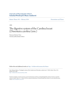 The digestive system of the Carolina locust