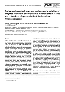 Anatomy, chloroplast structure and