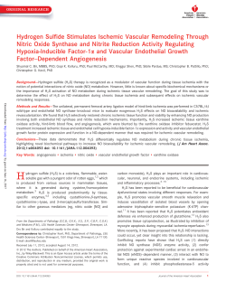 Hydrogen Sulfide Stimulates Ischemic Vascular Remodeling