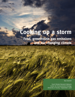 Cooking up a storm - Food Climate Research Network