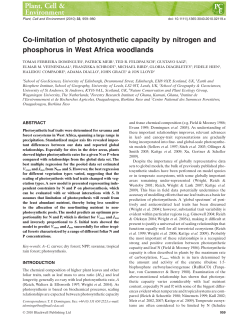 PDF - School of Geography