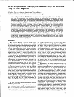 Are the Platyhelminthes a Monophyletic Primitive
