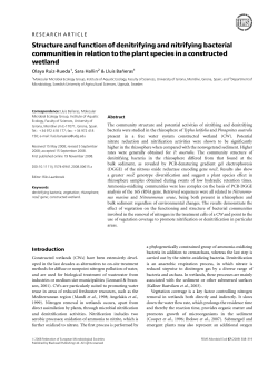 Structure and function of denitrifying and nitrifying bacterial