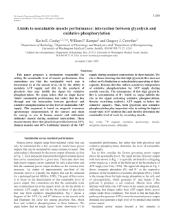 Glycolysis, respiration and sustainable muscle