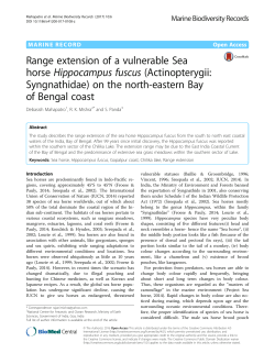 Range extension of a vulnerable Sea horse Hippocampus fuscus