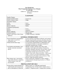 TAXONOMY Family Names Scientific Names Common Synonym(s