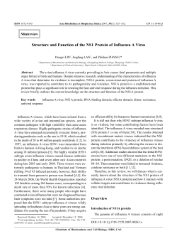 Structure and Function of the NS1 Protein of Influenza A Virus