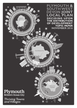 Topic paper - Plymouth City Council