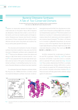 Bacterial Diterpene Synthases: A Tale of Two Conserved Domains
