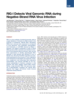 RIG-I Detects Viral Genomic RNA during Negative