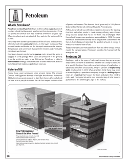 Petroleum - Switch Energy Project