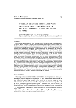 NUCLEAR CHANGES ASSOCIATED WITH CELLULAR