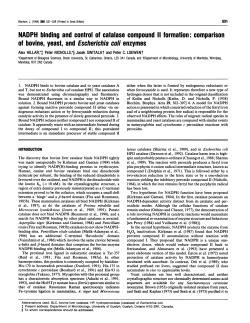 NADPH binding and control of catalase compound