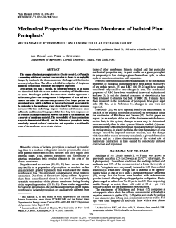 Protoplasts - Plant Physiology