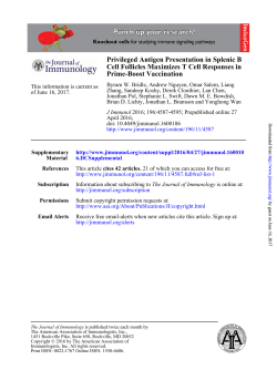 Privileged Antigen Presentation in Splenic B Cell Follicles