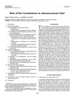Role of the Cytoskeleton in Adrenocortical Cells*