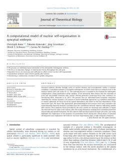 A computational model of nuclear self-organisation in