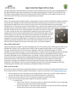 Gill lice survey - Henry`s Fork Foundation