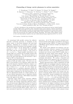 Channeling of charge carrier plasmons in carbon nanotubes