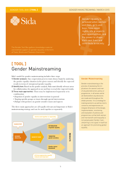 Gender Mainstreaming