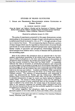 STUDIE:S OF BLOOD GLYCOLYSIS