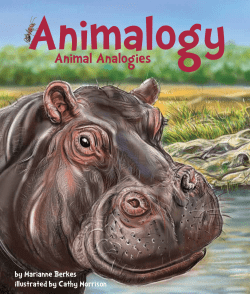 Animal Analogies - Arbordale Publishing