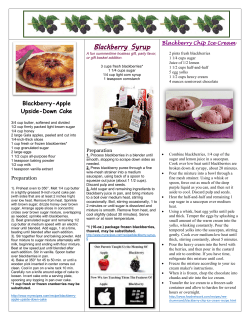 Blackberry Syrup - Spencer`s Fresh Markets